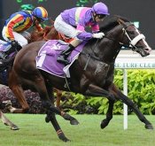 Gingerbread Man<br>Photo by Singapore Turf Club